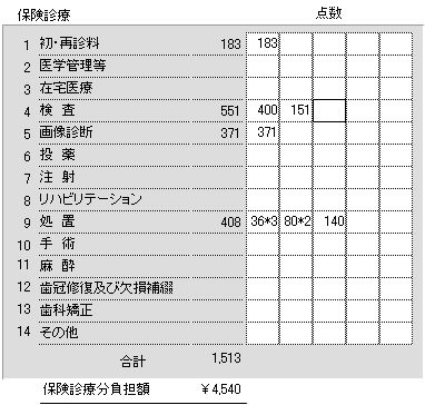 保険点数入力欄